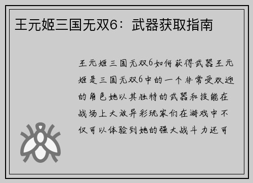 王元姬三国无双6：武器获取指南