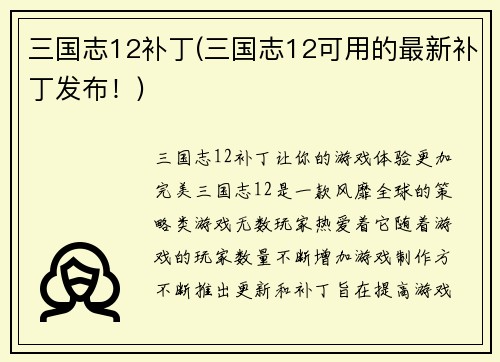 三国志12补丁(三国志12可用的最新补丁发布！)